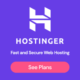 Hostinger Hosting