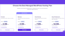 Managed WordPress Hosting by Hostinger