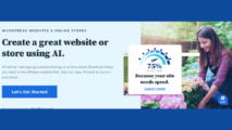 Affordable Websites and Online Stores Hosting Plans by Bluehost